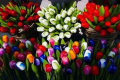 Gr&uuml;n ist der Neid, violett die Arroganz