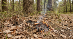 Hochdruckwetter sorgt f&uuml;r steigende Brandgefahr