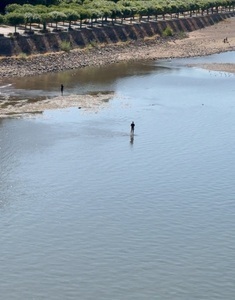 Rhein kurz vor dem Rekordtief